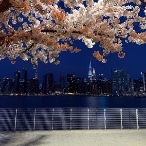 Meet your Posher, Ali